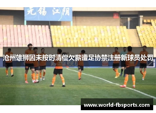 沧州雄狮因未按时清偿欠薪遭足协禁注册新球员处罚