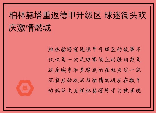 柏林赫塔重返德甲升级区 球迷街头欢庆激情燃城